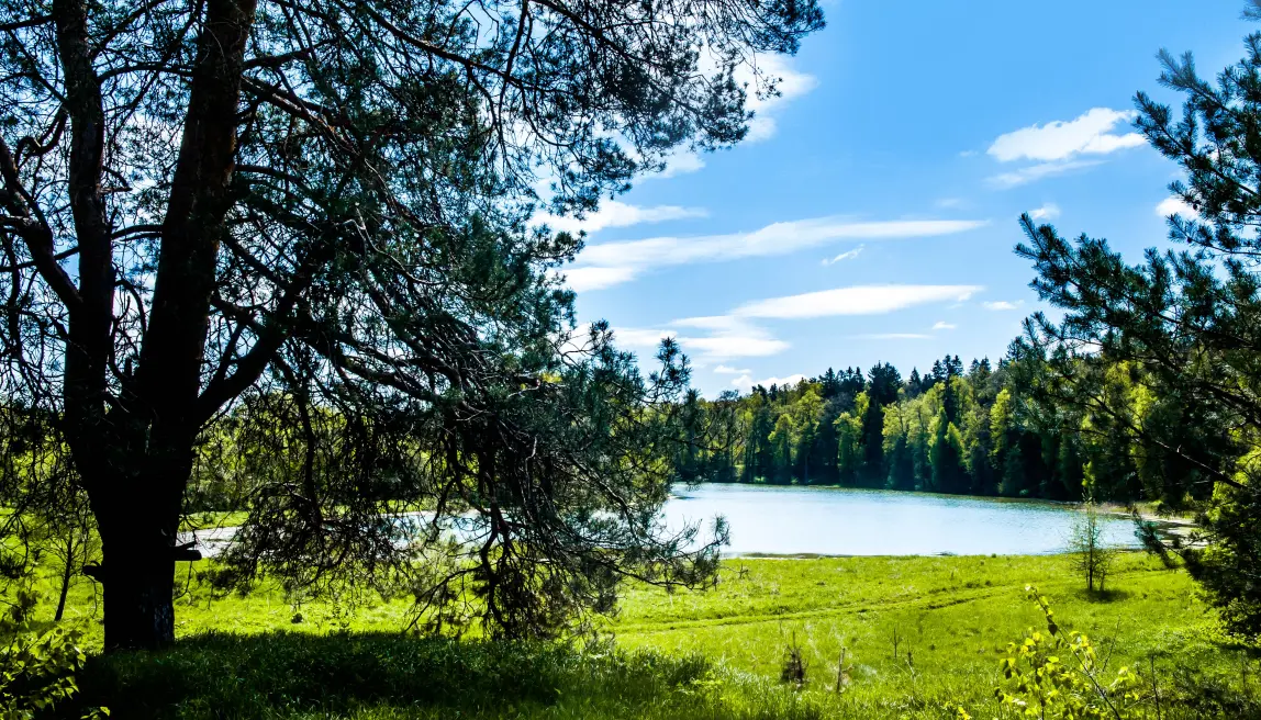 Shelkovo Eco Club